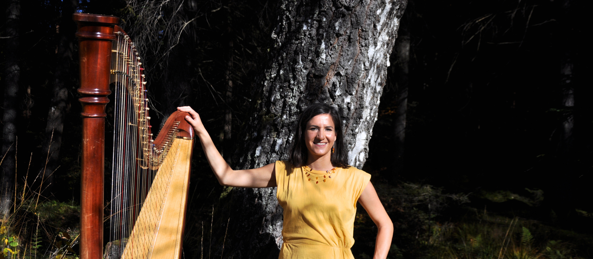 Harmonische Harfenabende